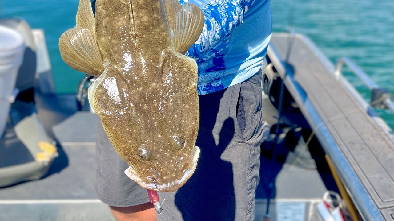 Tin Can Bay fishing the shallows - flathead