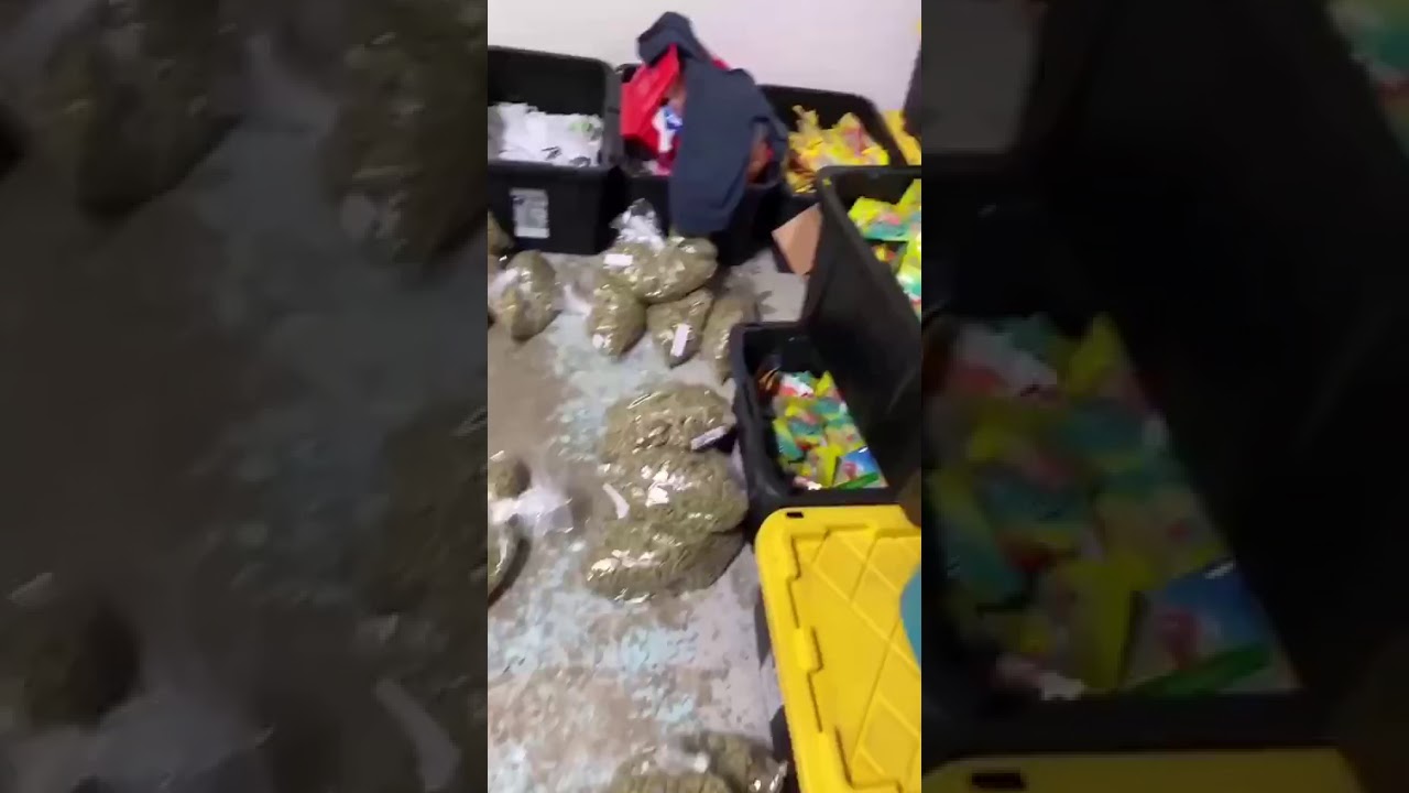exoticweed