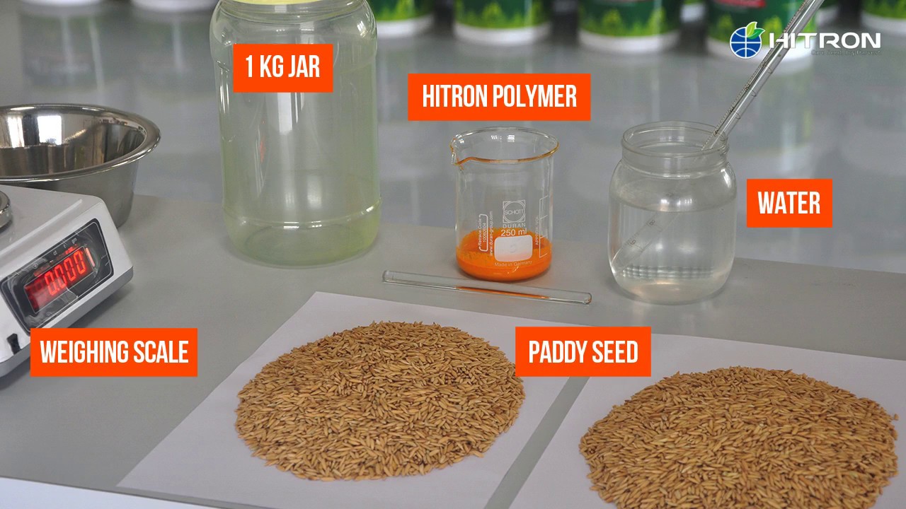 Demonstration of Manual Seed Coating - Paddy Sample