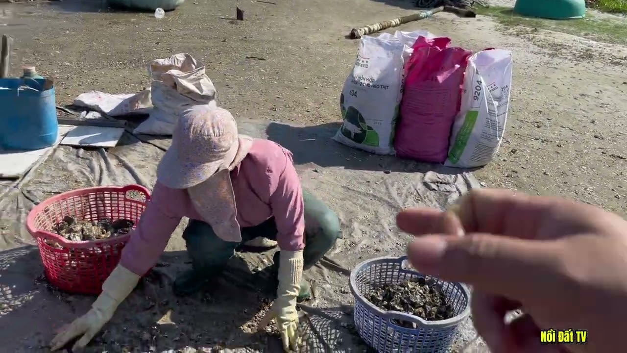 Tham quan đầm Lập An cùng du khách