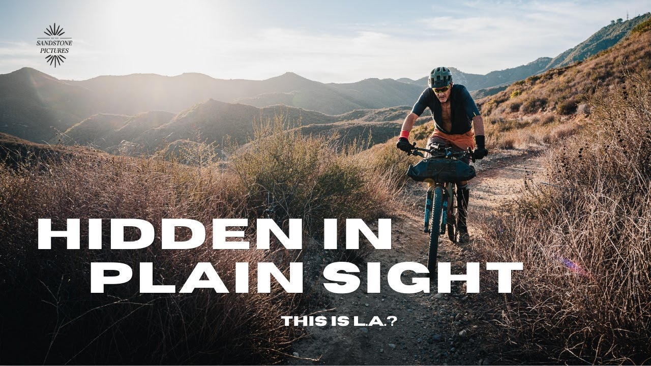 Hidden In Plain Sight Film