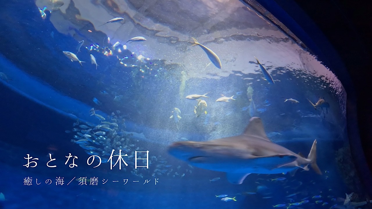 癒しの海｜須磨シーワールド