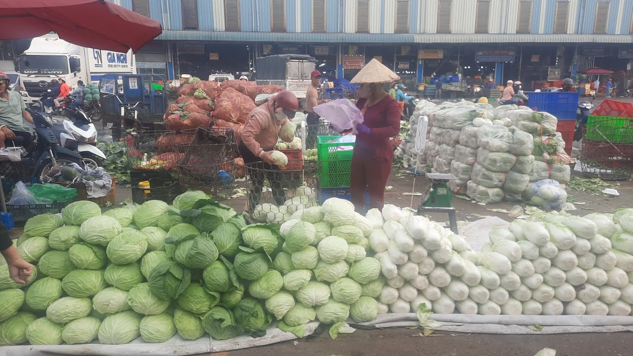 Khu rau chợ đầu mối bình điền sáng 27 tết cải ngọt 15k khổ qua 20k bắp cải 13k cà tím 10k 