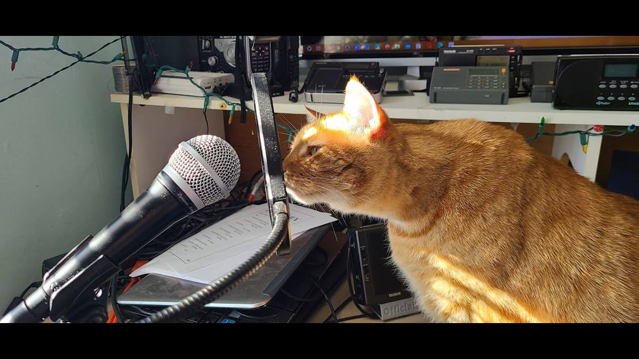 Live shortwave radio stream Saturday November 8th 2025