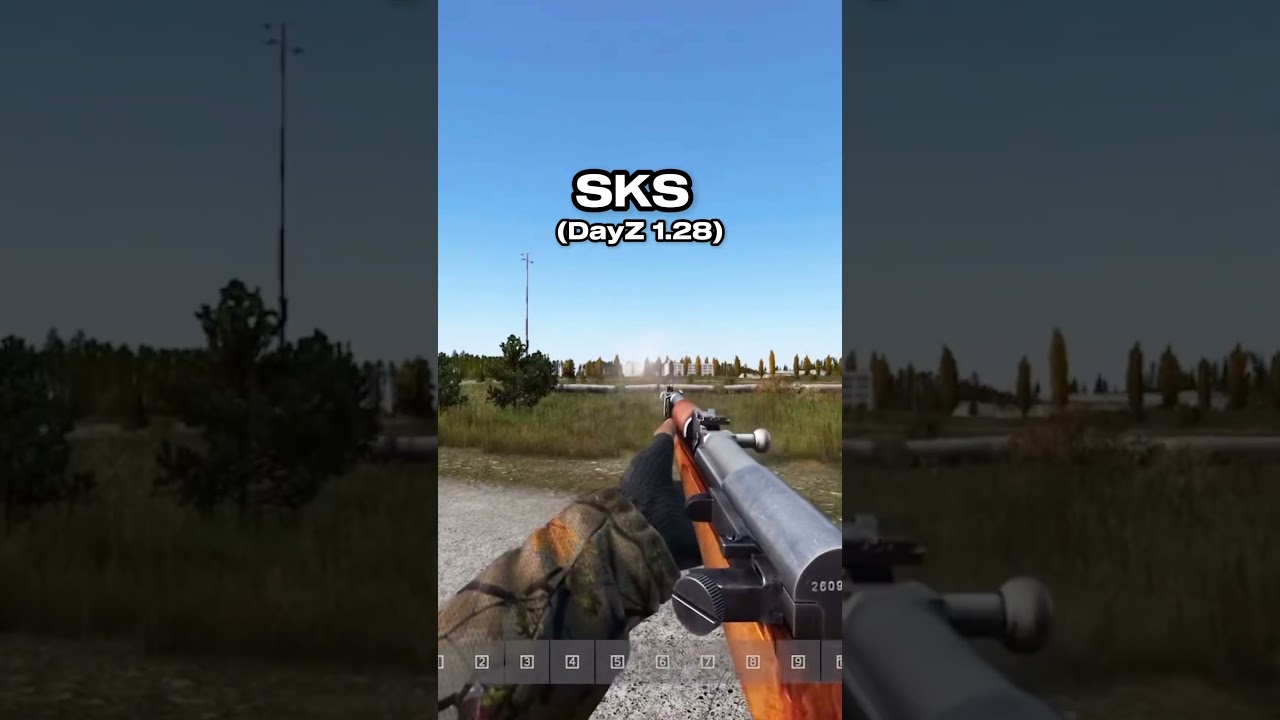 DayZ 1.28 Gun sounds in Real life