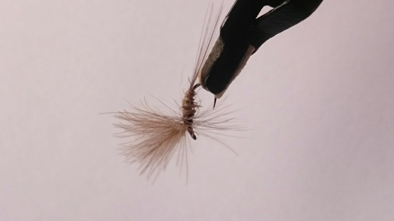 Efémera liebre
