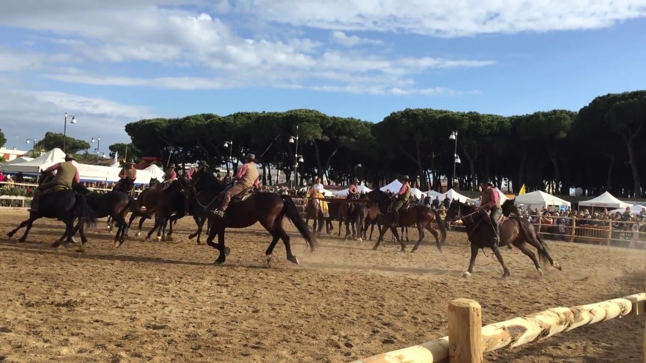 La Bardella Maremmana - Maremma d'aMare - Montalto Marina 24.04.16