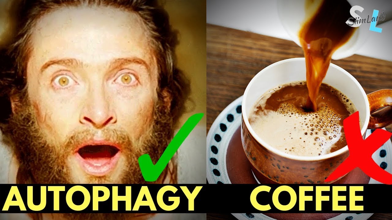 Does Coffee Stop Autophagy - Autophagy and Coffee