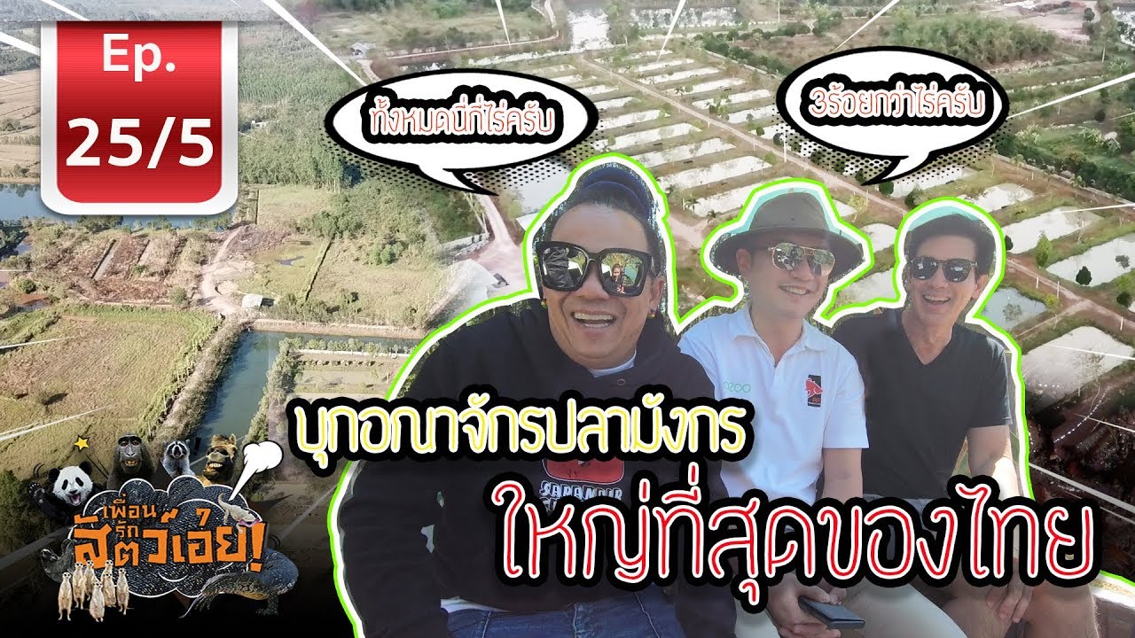 Fish farm in Thailand สุดยอด!!!! การทำฟาร์มปลาที่ดีที่สุดในประเทศไทย- เพื่อนรักสัตว์เอ้ย l EP.25/5