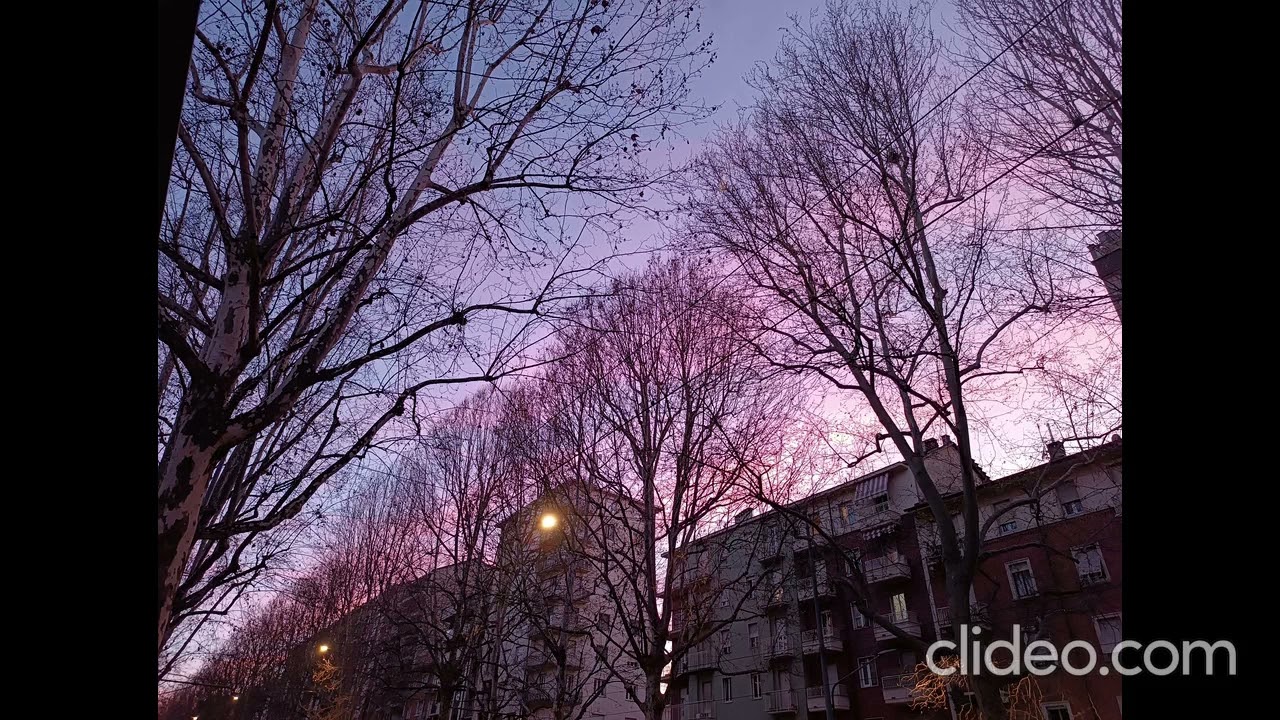 Disfatti - Giuliano Cimino -2025