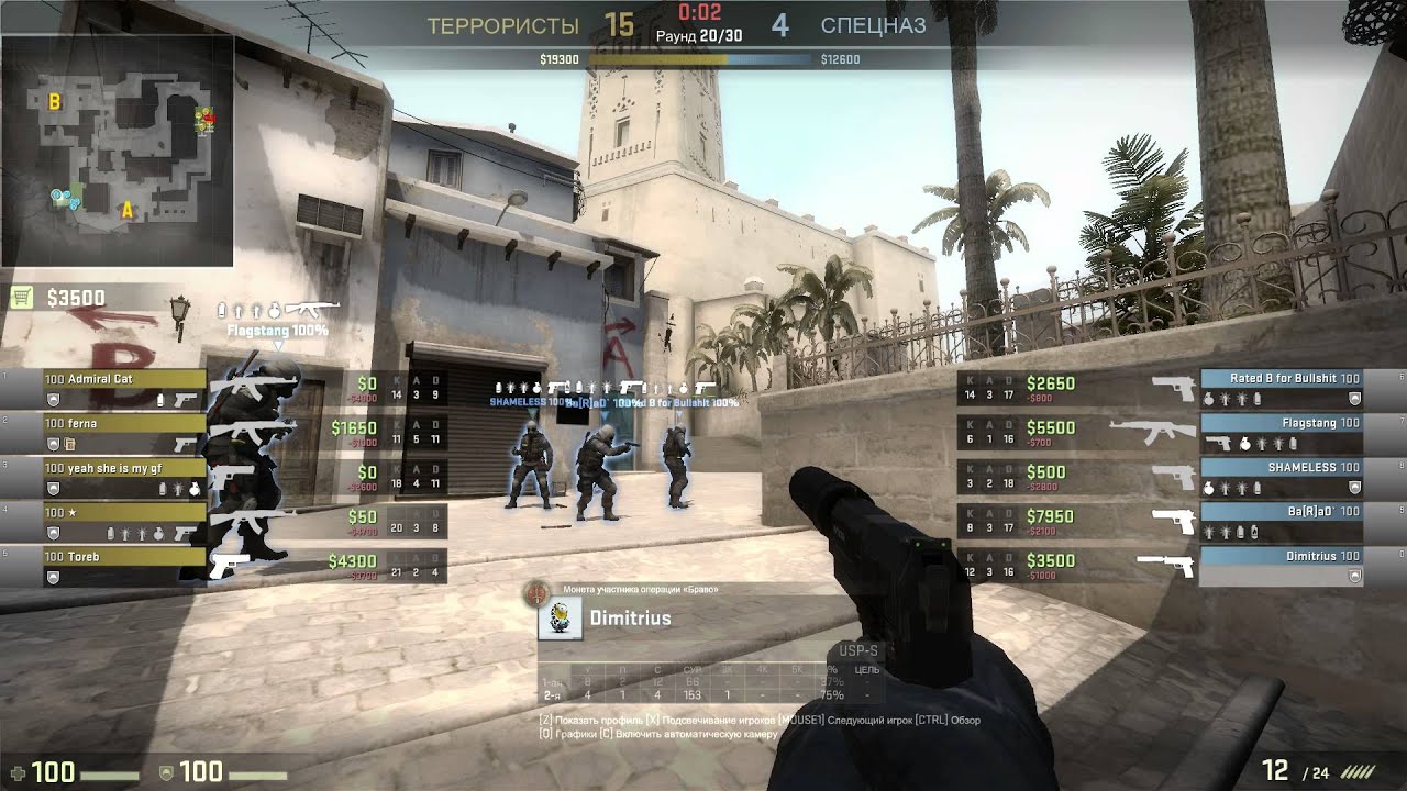 Dimitrius 2 headshots with deagle + Ninja defuse CS GO