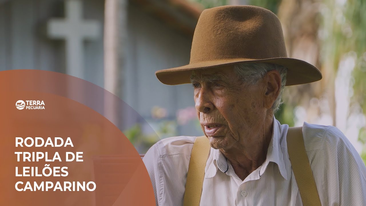 TERRA PECUÁRIA - LEILÃO GENÉTICA CAMPARINO E LEILÃO MATRIZES CAMPARINO