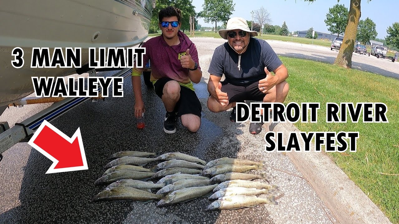 SUPER EASY 3 MAN WALLEYE LIMIT ON THE DETROIT RIVER ( JUNE 8 2025 )