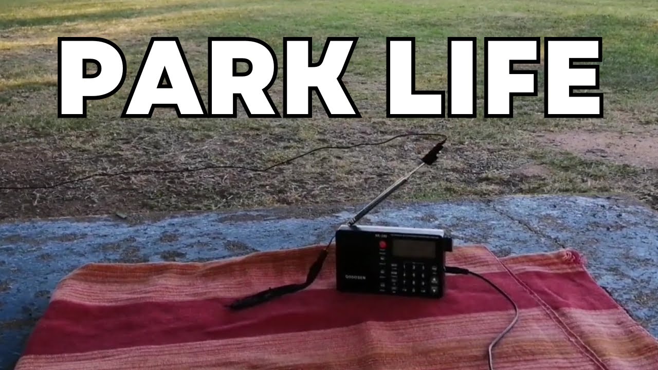 Unbelievable MW reception on Qodosen SR-286 in the park with external antenna #tef6686