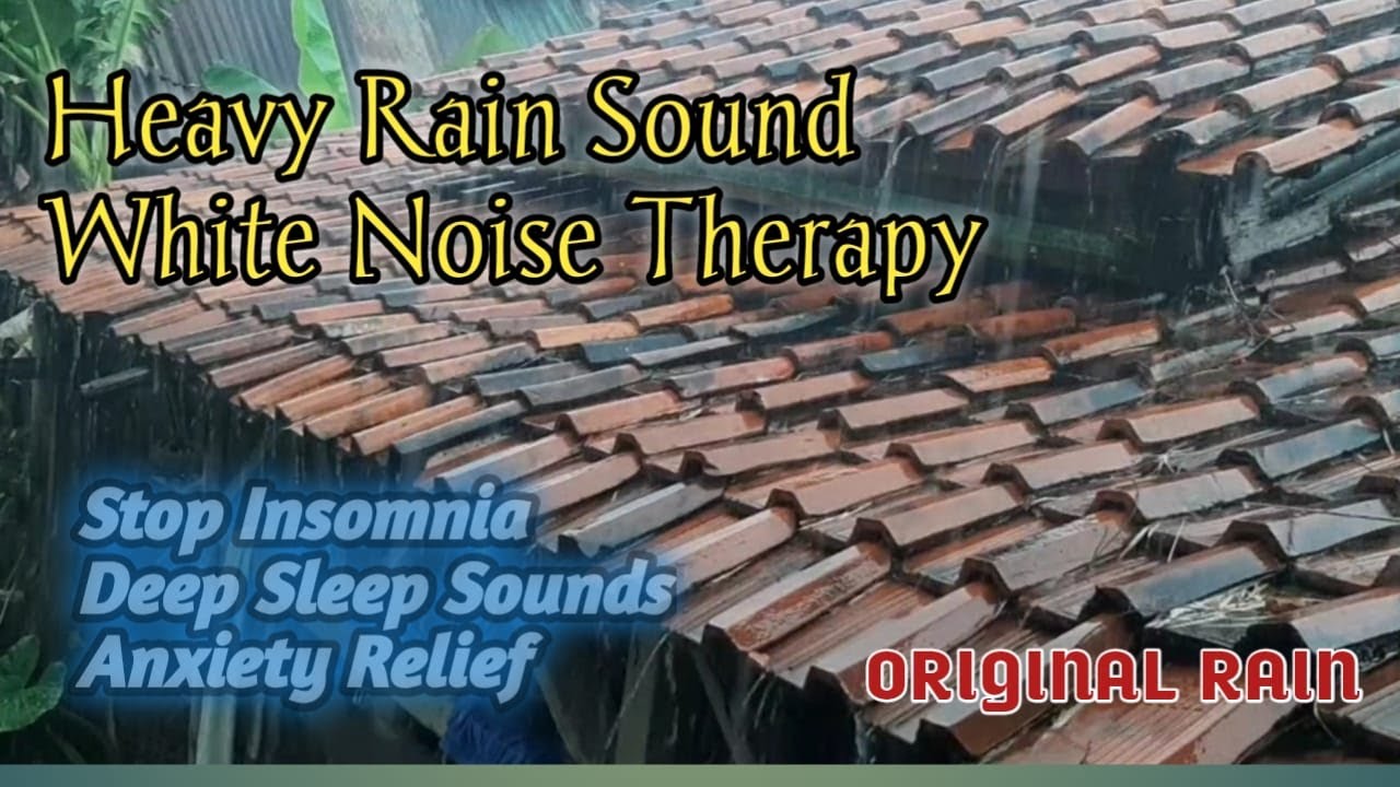 Deep sleep ASMR rain sounds on a metal roof | Calming white noise for insomnia relief