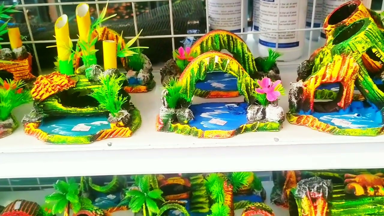 HIASAN, IKAN AQUARIUM