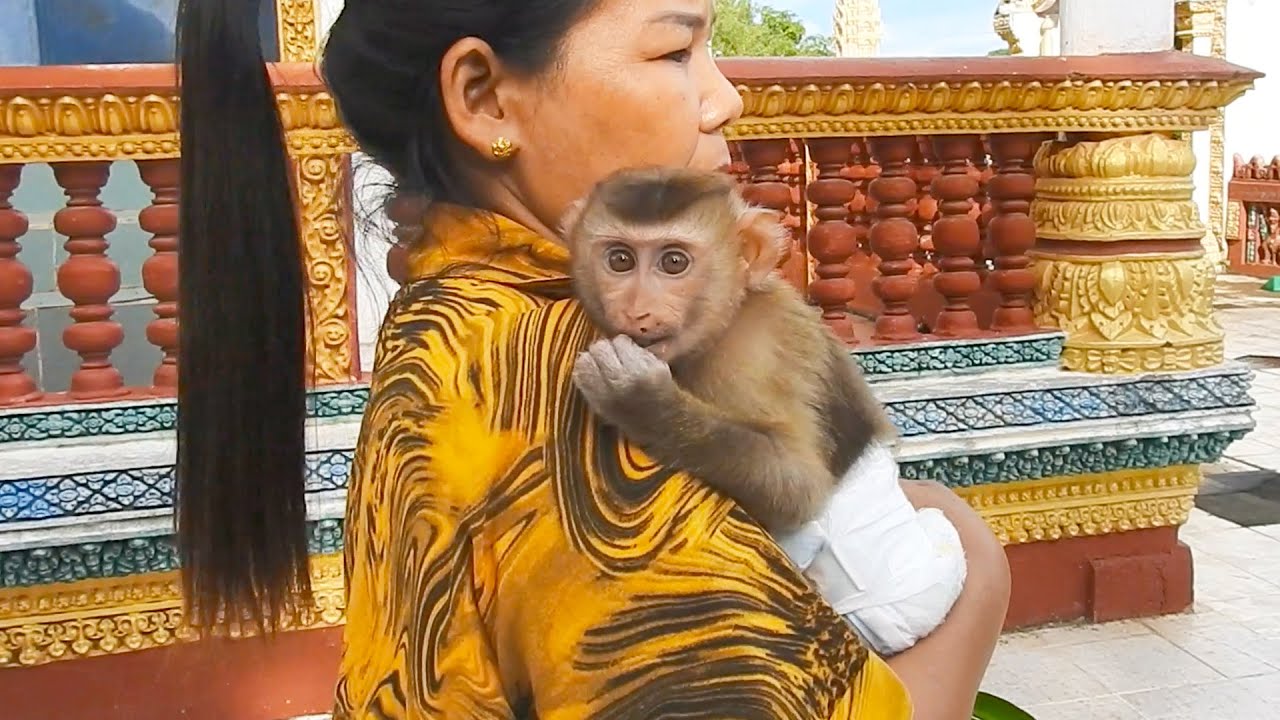 Jing Family Go On An Adventure Around A Cool Pagoda In Cambodia!