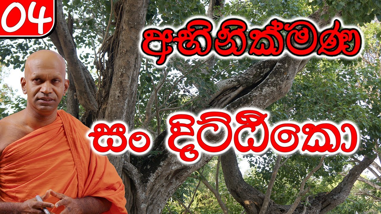04. අභිනික්මණ සහ සංදිට්ඨිකො