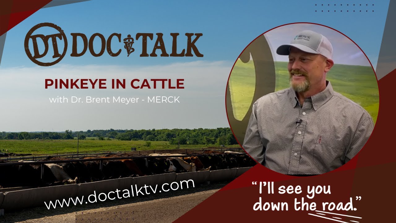 DocTalk — Конъюнктивит с доктором Брентом Мейером
