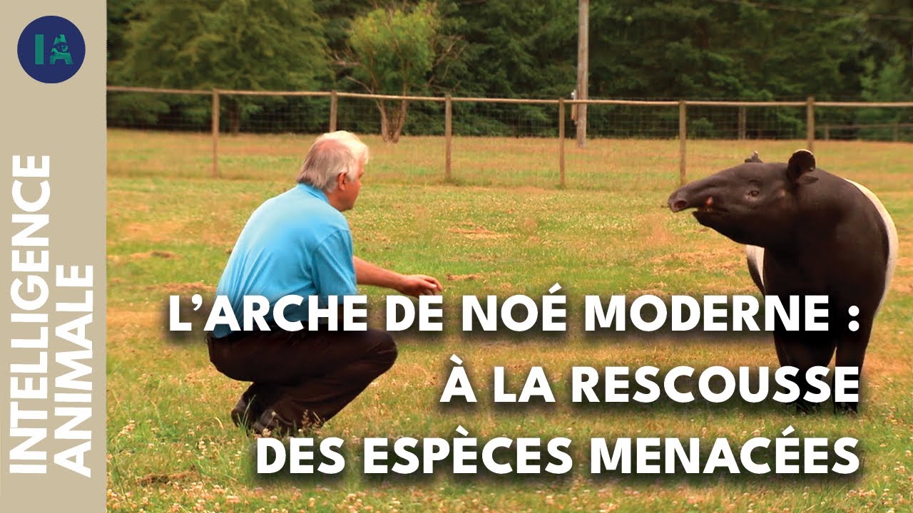 Comment sauver les espèces rares de la planète ? I IA