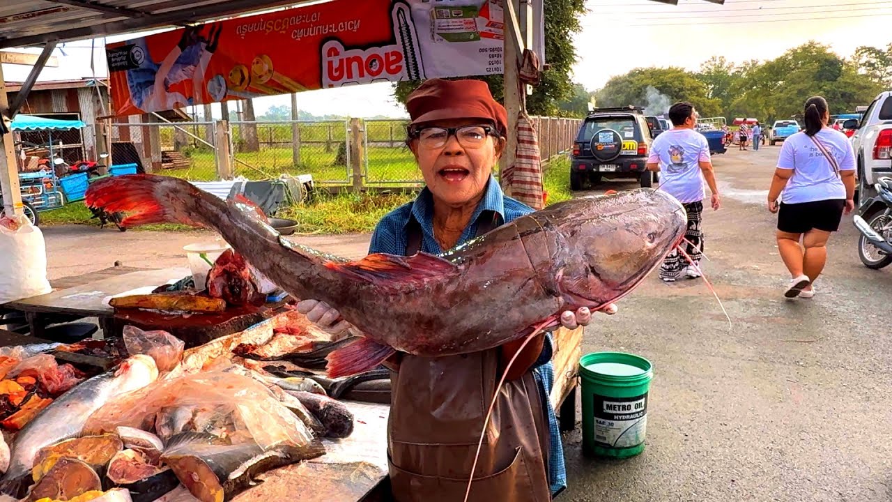 #ตลาดปลาหน้าเขื่อนเจ้าพระยาชัยนาท #ปลาสดๆจากเขื่อนเจ้าพระยา #ราคาถูก #จังหวัดชัยนาท #ลุงน้อยchannel