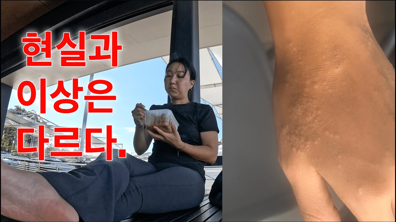 [호주 워홀] 영어 못하면 나처럼 개고생한다 - 30대 막차