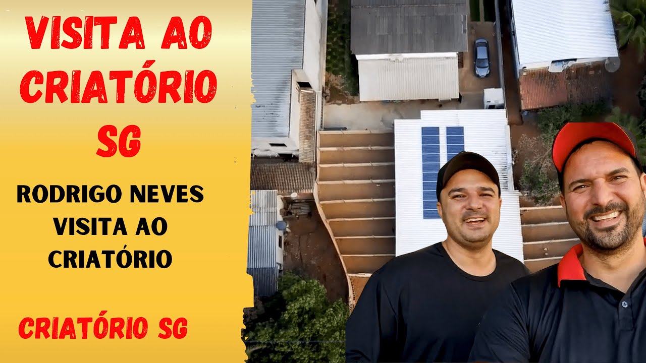 Ele tem os maiores galos do mundo. Rodrigo Neves visita o Criatório SG