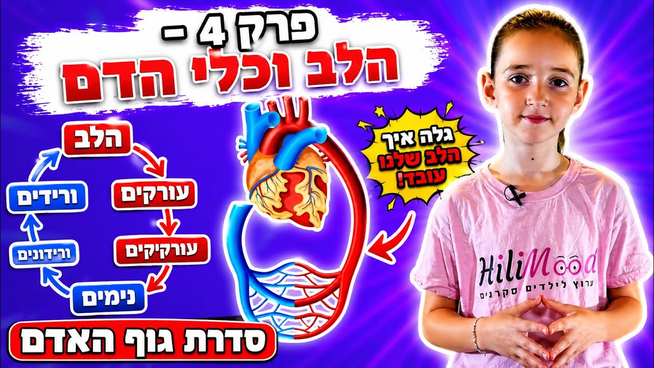 הילימוד - גוף האדם | פרק 4 - הלב וכלי הדם | גוף האדם לילדים