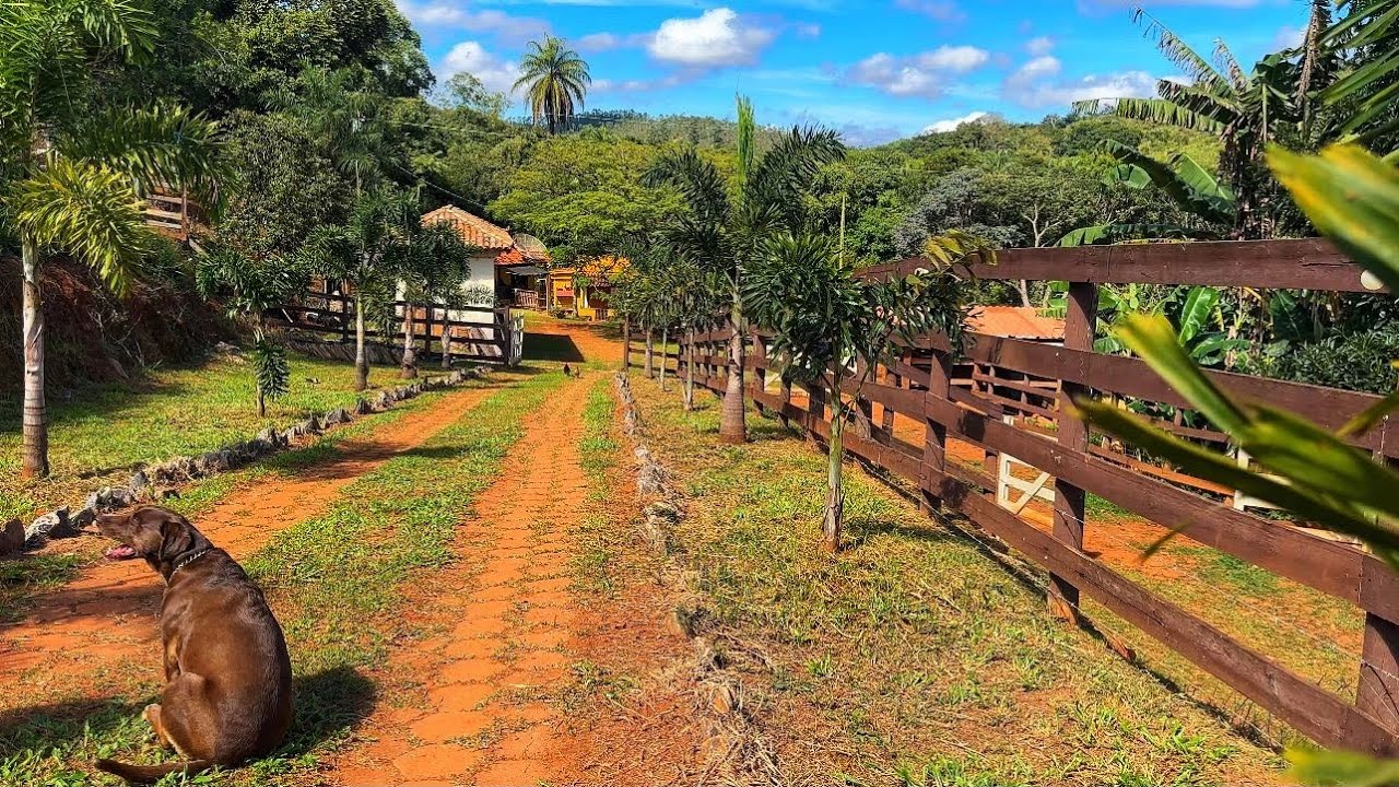 Sítio a venda 6 HA em Minas Gerais ótima oportunidade mais parece um paraíso.