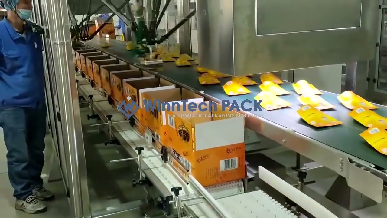 Pick & Place Robotic Pallatizer + Automatic Case Packer for Snacks Stand up Pouches