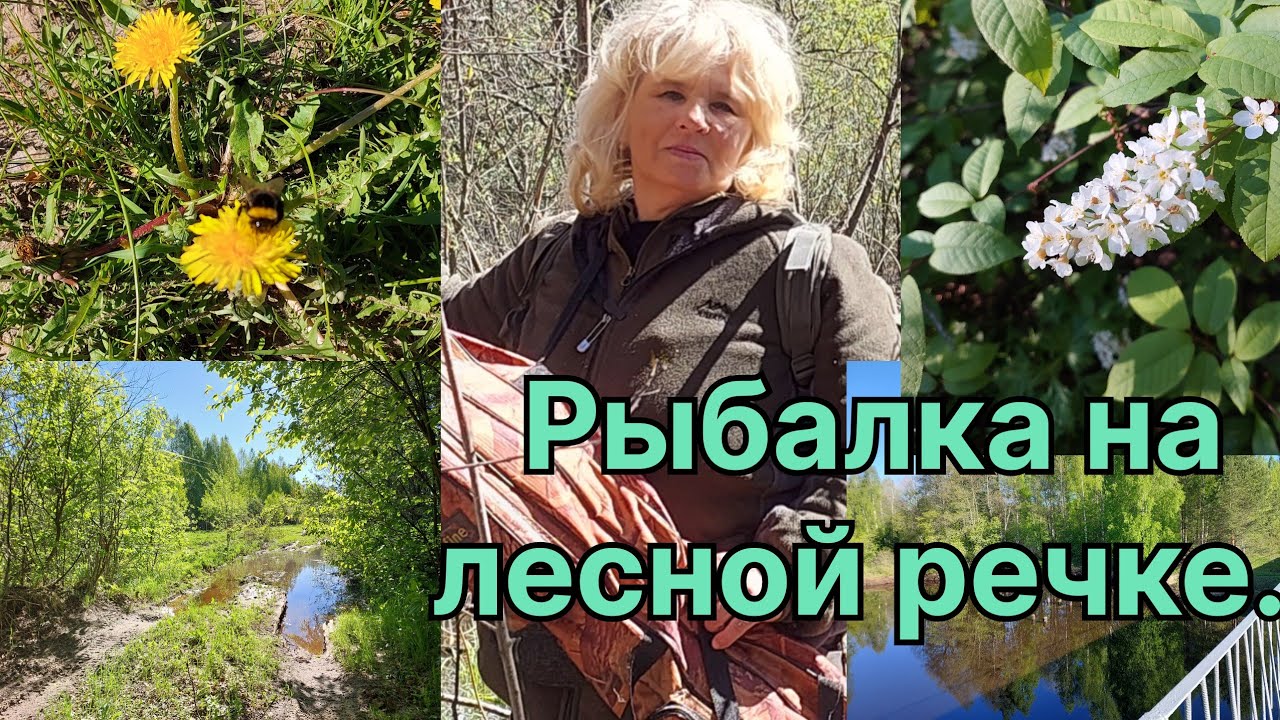 ДИКАЯ и КРАСИВАЯ лесная речка ЛЮНДА. РЫБАЛКА на поплавочную удочку.