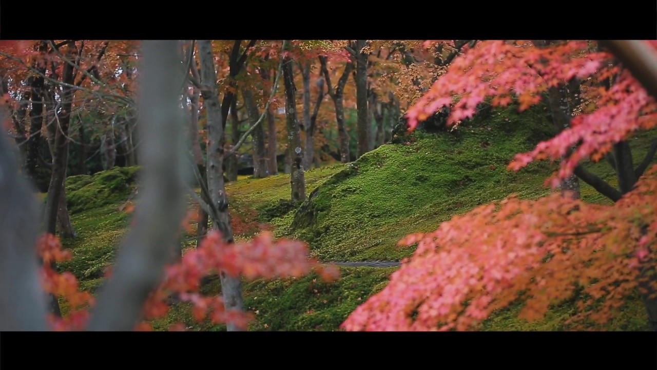 箱根・神仙郷   秋   - Autumn -   HAKONE SHINSENKYO
