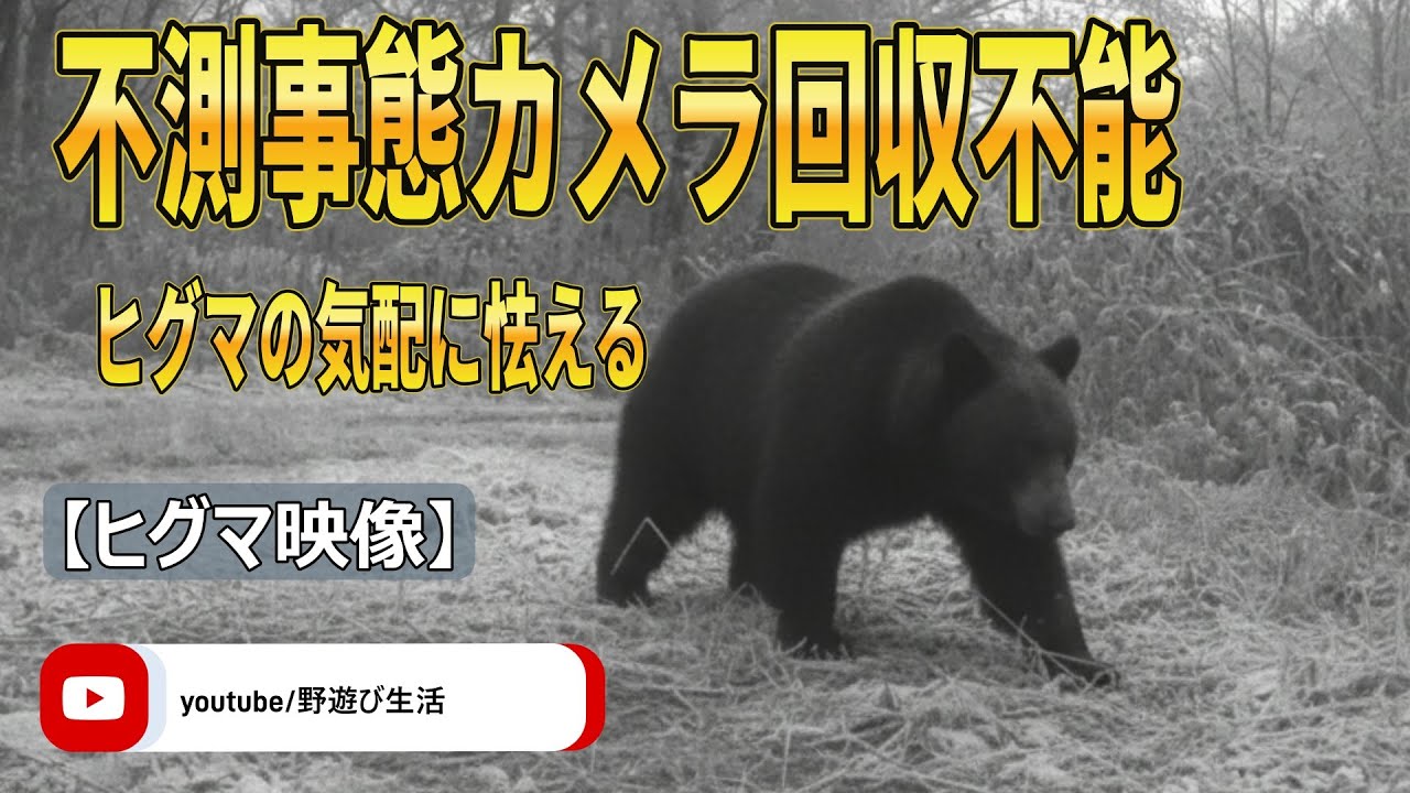 不測事態カメラ回収不能 ヒグマの気配に怯える