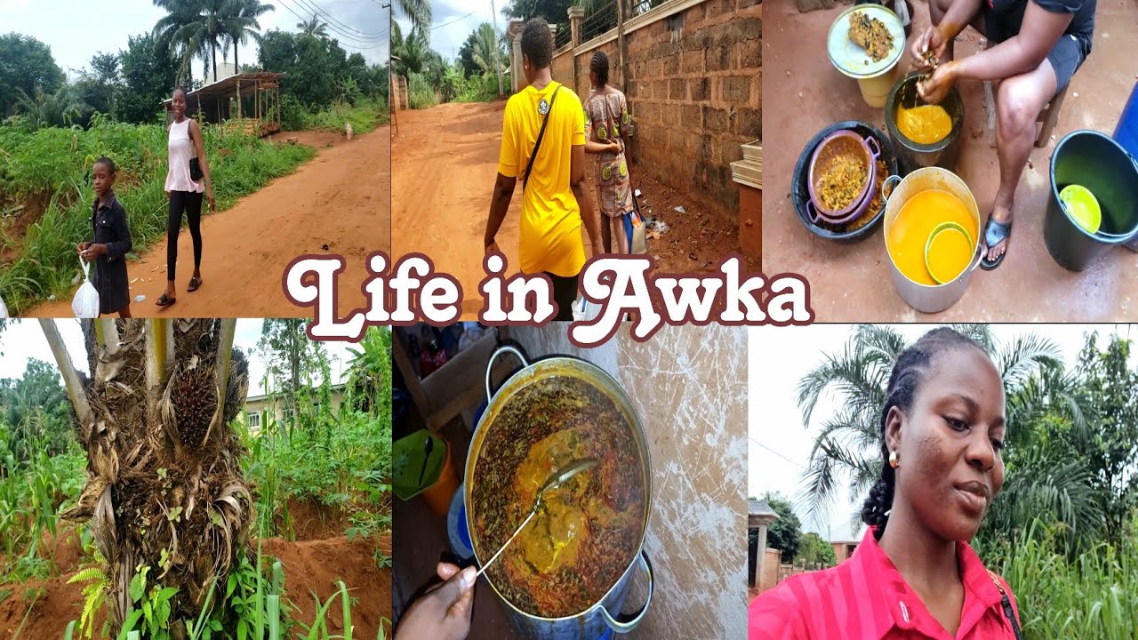 LIFE IN AWKA||MAKING LARGE POT OF STEW ||SEEING AKWU OJUKWU FOR THE FIRST TIME