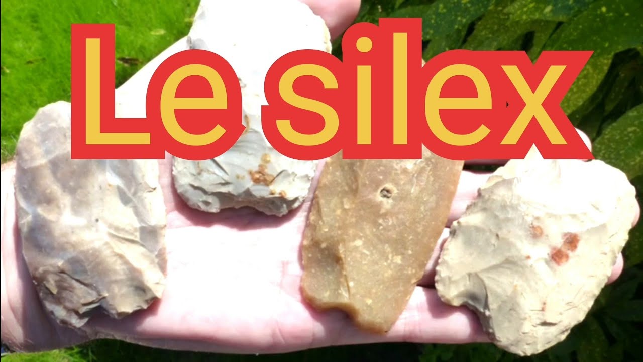 Une roches sédimentaire : le silex