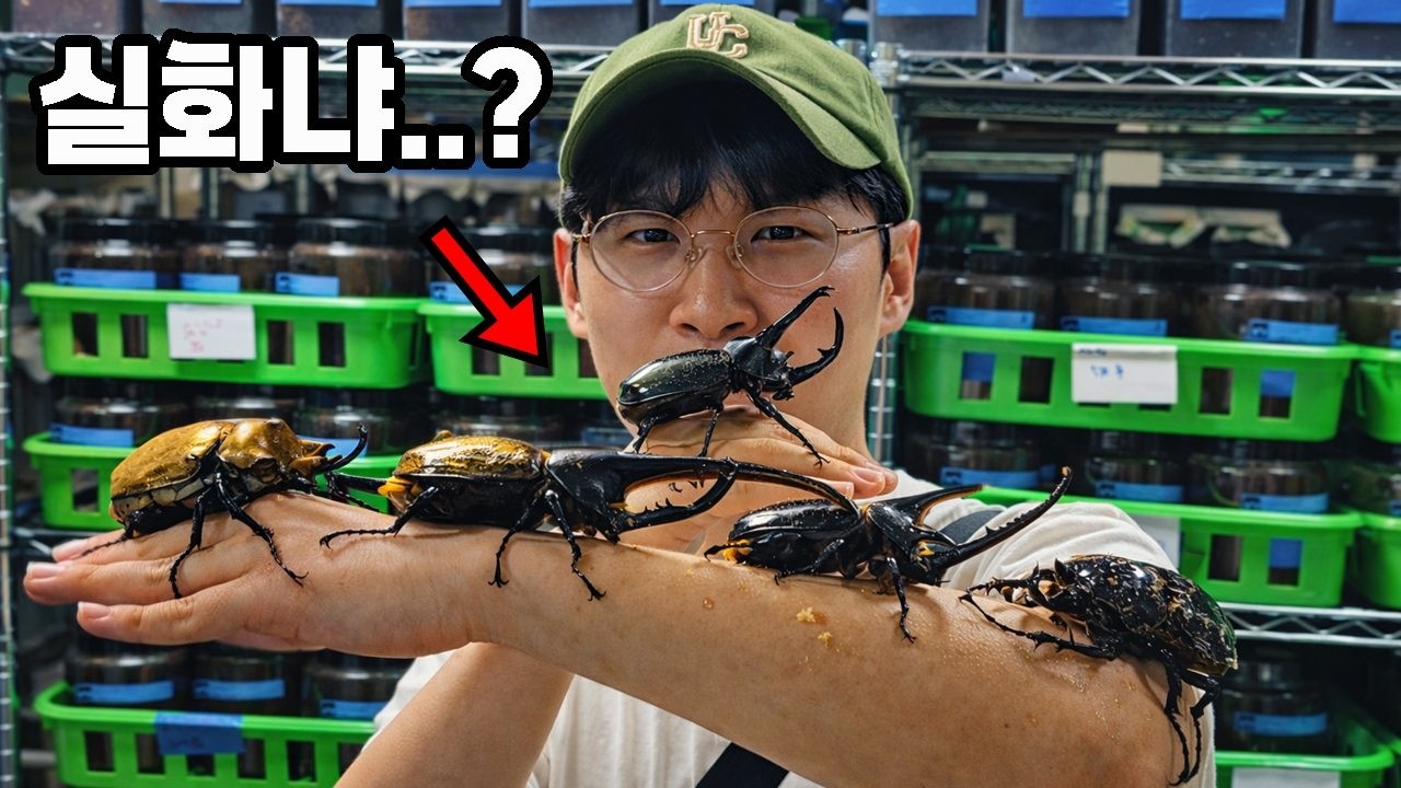 진짜 충격입니다…!! 괴물곤충 7000마리 키운다는 유튜버 집에 갔는데...