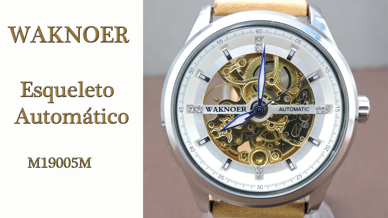 Waknoer esqueleto automático (M19005M)