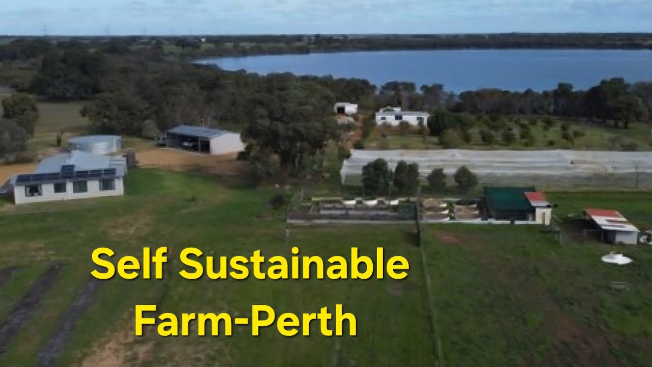 How to Live  a Self Sustainable Life at Farm-Gingin 