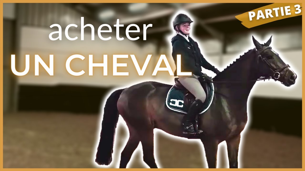 Acheter un cheval  - Étape 3 :  L' essai