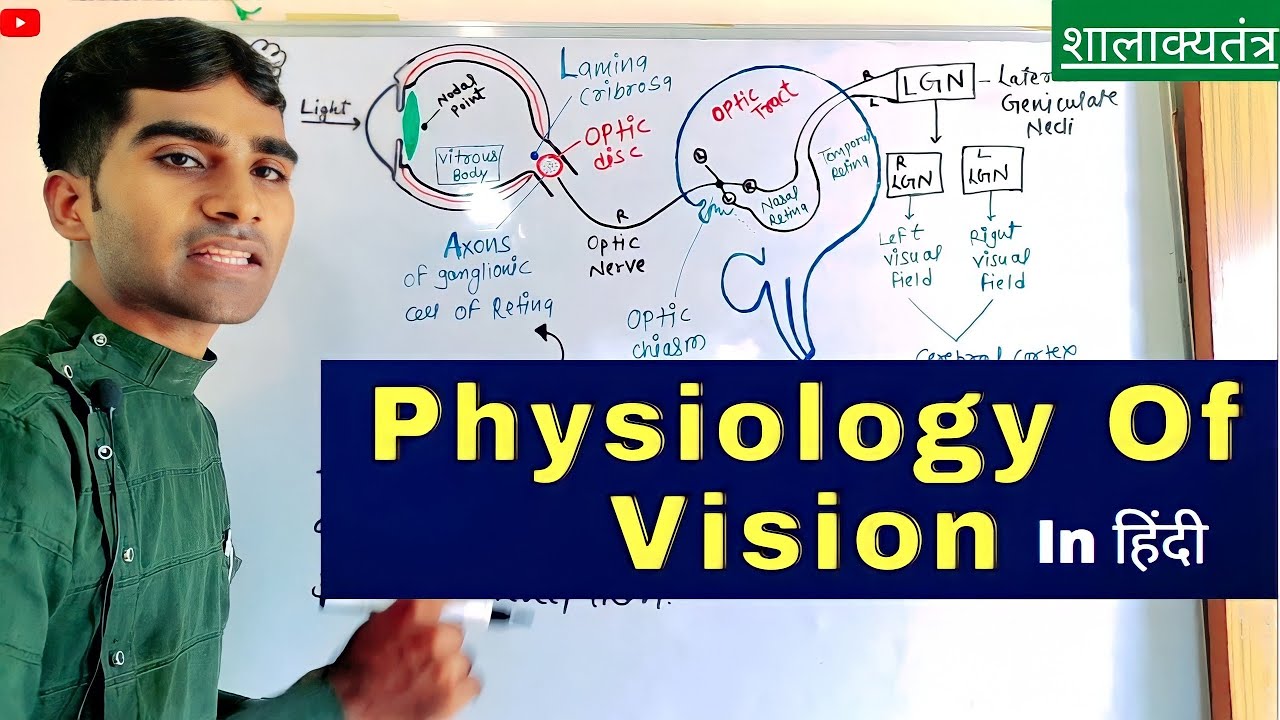 Physiology Of Vision Of Eye | Physiology Of Eye In Hindi | Shalakya Tantra | BAMS | शालाक्य तंत्र |