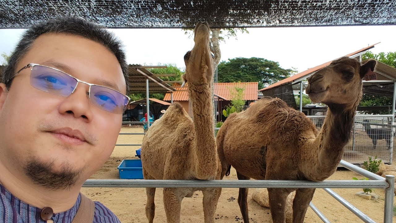 SEMBANG HAJI 2025 - EPI 01 - INILAH ANGGARAN PAKEJ HAJI BERSAMA USN BAGI TAHUN 2025