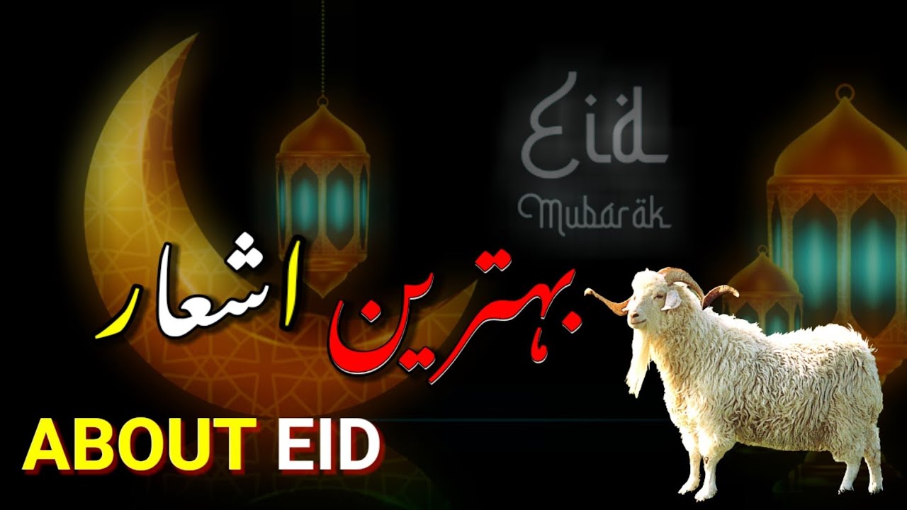 Best  poetry  about Eid ul Adha || Top best poetry about eid