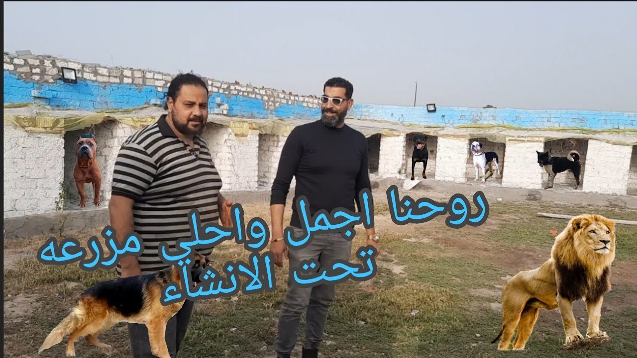 فتح اجمل واحلي مزرعه حتشوفها تحت التجهيز #