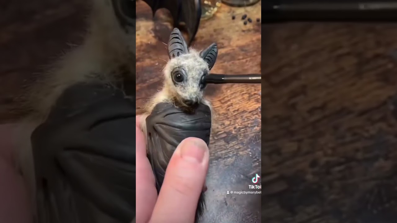 #Sculpting #Polymerclay Fruit #Bat Ornaments #halloween #artandcraft