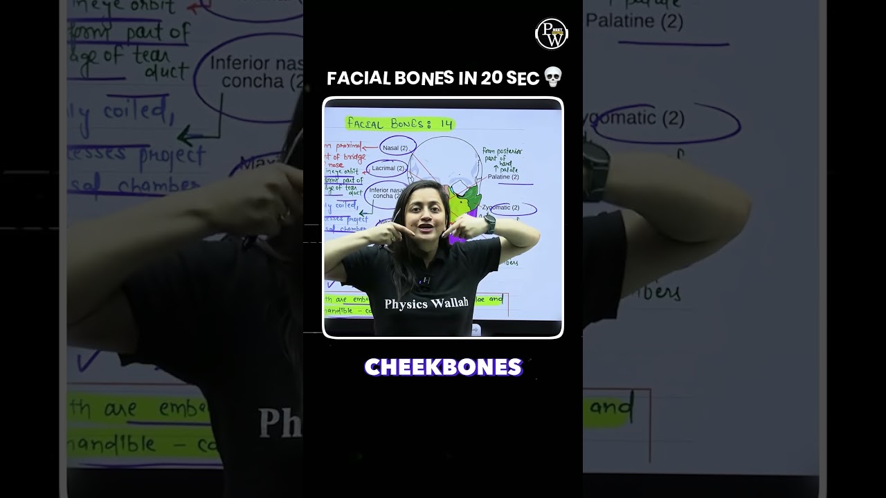 Facial Bones in 20 Seconds 🦴⚡ | Human Skeleton Quick Trick | Ambika Ma&rsquo;am