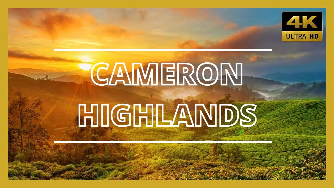 CAMERON HIGHLANDS 4K | UHD | WITH INFO | 60FPS | HDR 10+ | DOLBY VISION ATMOS | AERIAL DRONE VIEW |