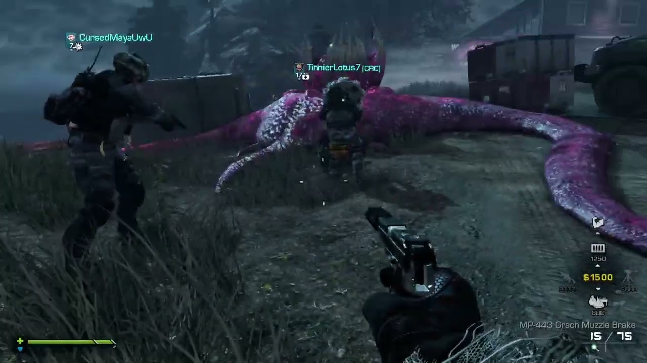 Cod ghost