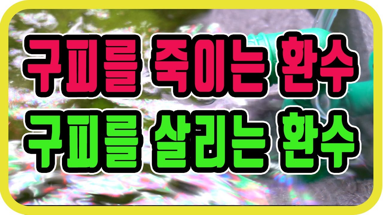 구피를 죽이는 환수 살리는 환수/고수는 환수를 잘한다