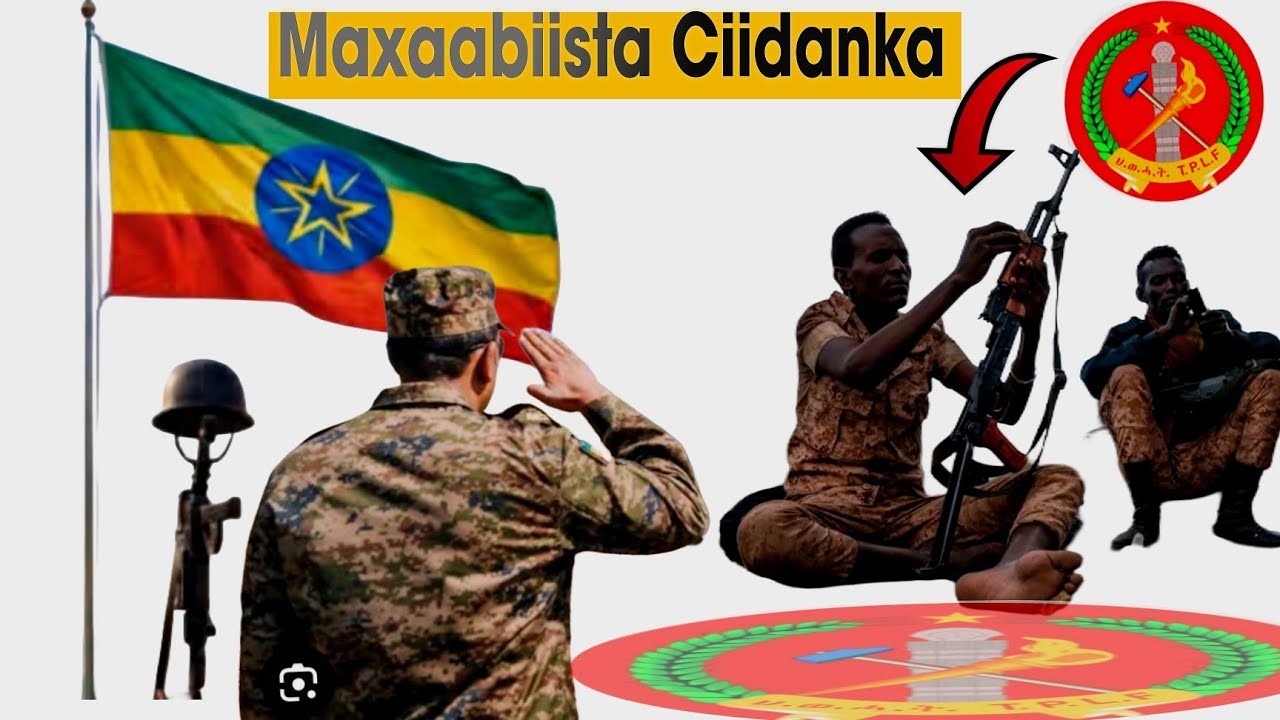 DAG_ TPLF IYO MAXAABIISTII UGU BADNAA  ABIYE OO KU DHAWAAQAY DAGAAL XAALKA DDS IYO WARAR