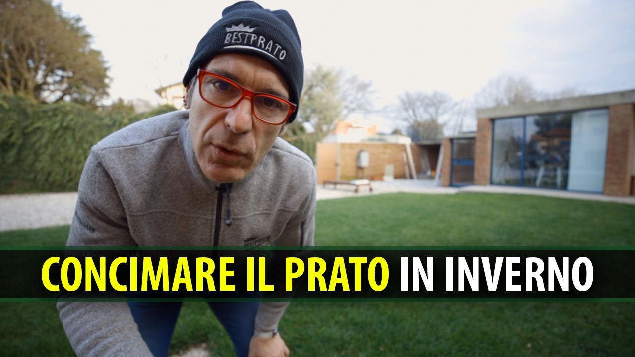 CONCIMARE IL PRATO IN INVERNO